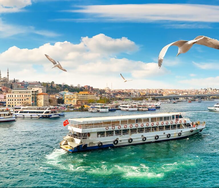 Bosphorus Cruise Istanbul – Explore the City from the Water